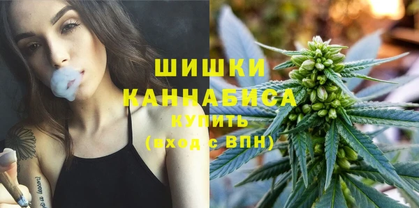 PSILOCYBIN Горнозаводск