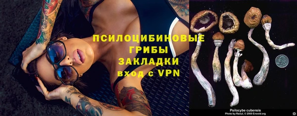 PSILOCYBIN Горнозаводск