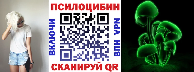 KRAKEN ссылки  Долгопрудный  Псилоцибиновые грибы Psilocybine cubensis 