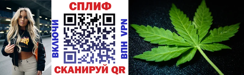Марихуана марихуана  закладки  Долгопрудный 